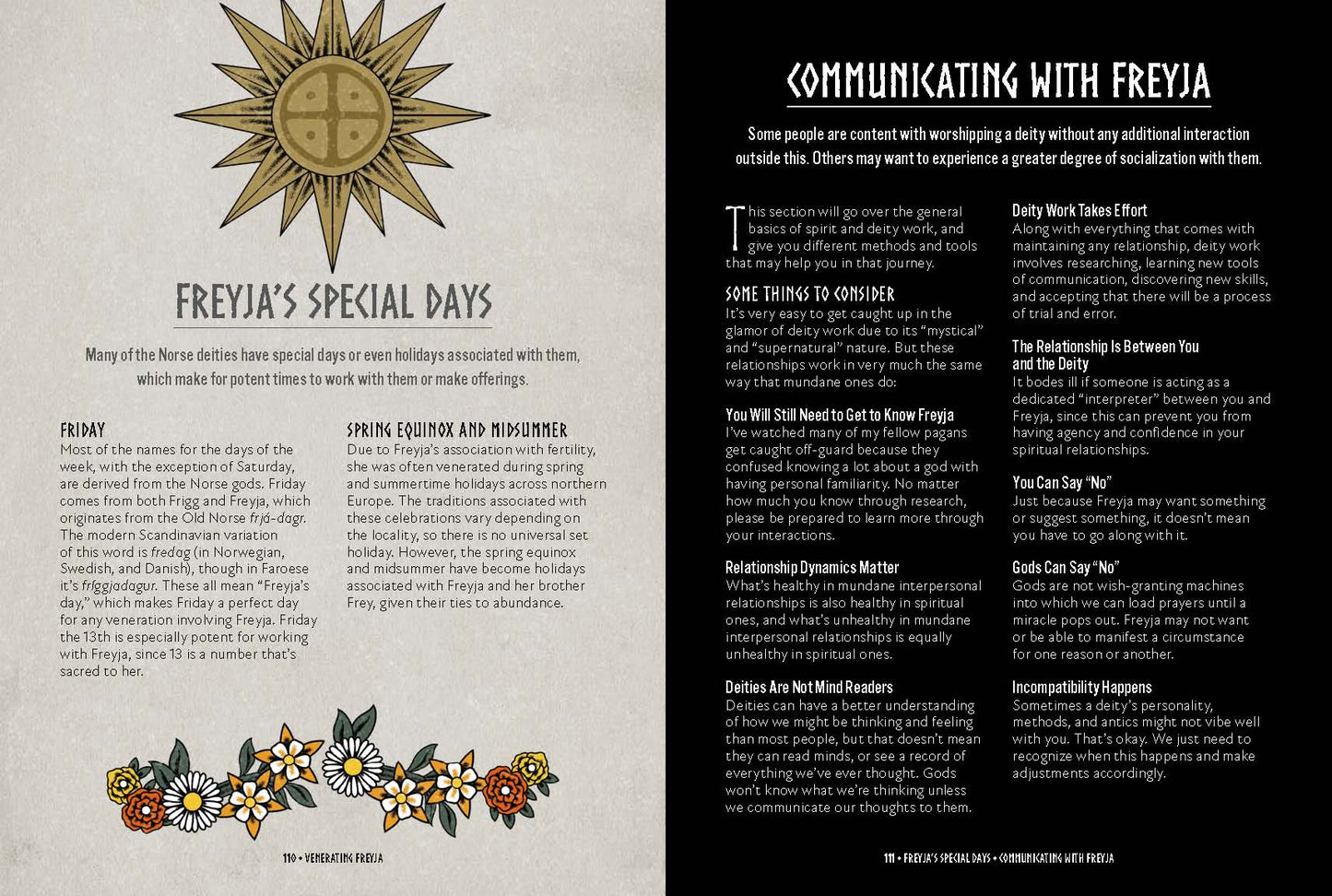 Freyja: An Illustrated Guide...Goddess of Magic, Love & War