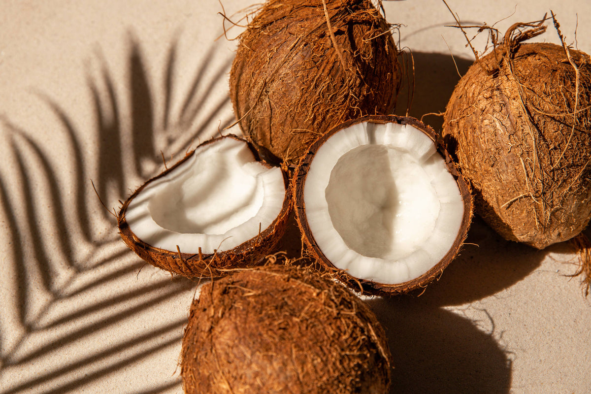 Coconut MCT Oil - 100% Pure | Wholesale Bulk