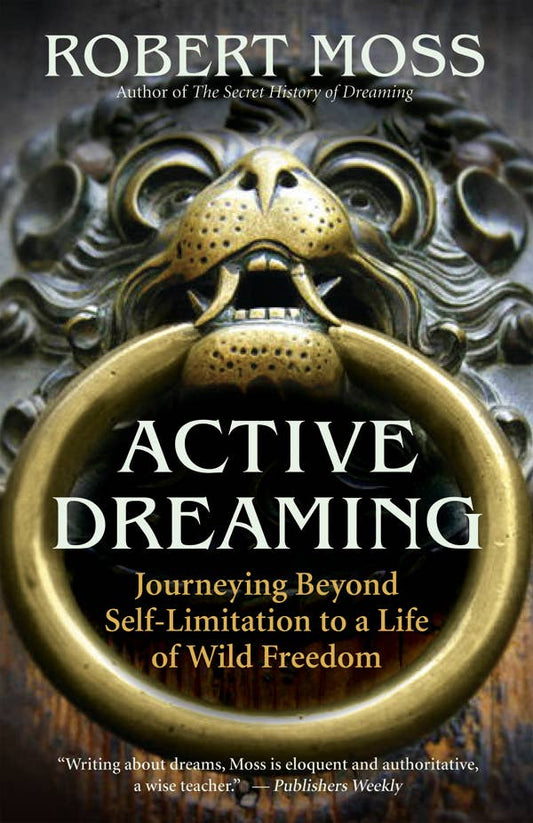 Active Dreaming PB